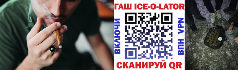 Гашиш гарик  продажа наркотиков  MEGA   Судогда 