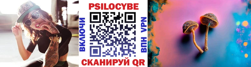 как найти наркотики  Судогда  Галлюциногенные грибы Psilocybine cubensis 